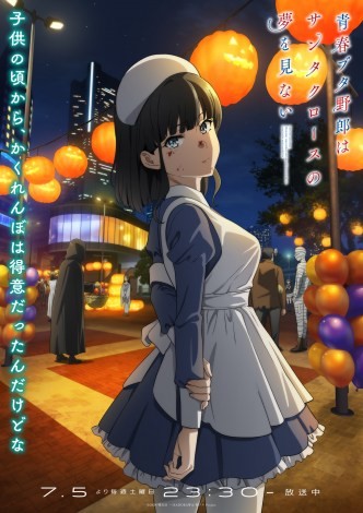 Rascal Does Not Dream of Santa Claus 